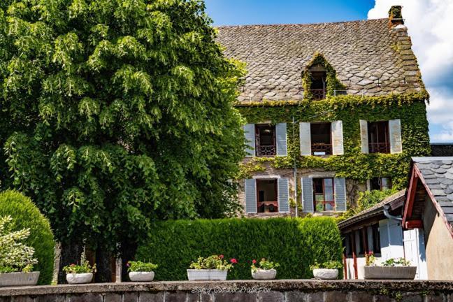 Les Tilleuls Besse-et-Saint-Anastaise Buitenkant foto