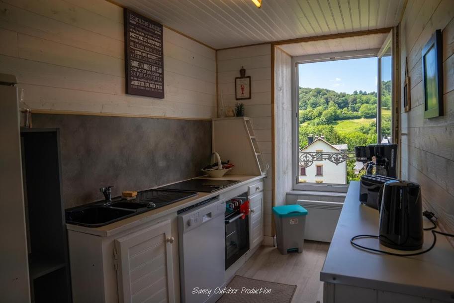 Les Tilleuls Besse-et-Saint-Anastaise Buitenkant foto